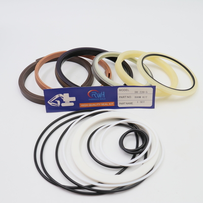 Corredi 2440 9234KT della guarnizione del cilindro dell'asta dell'escavatore per Daewoo DH220 5
